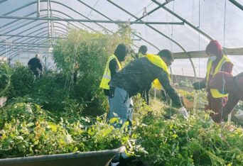 Free Food Gardening Class at Nice Roots Farm