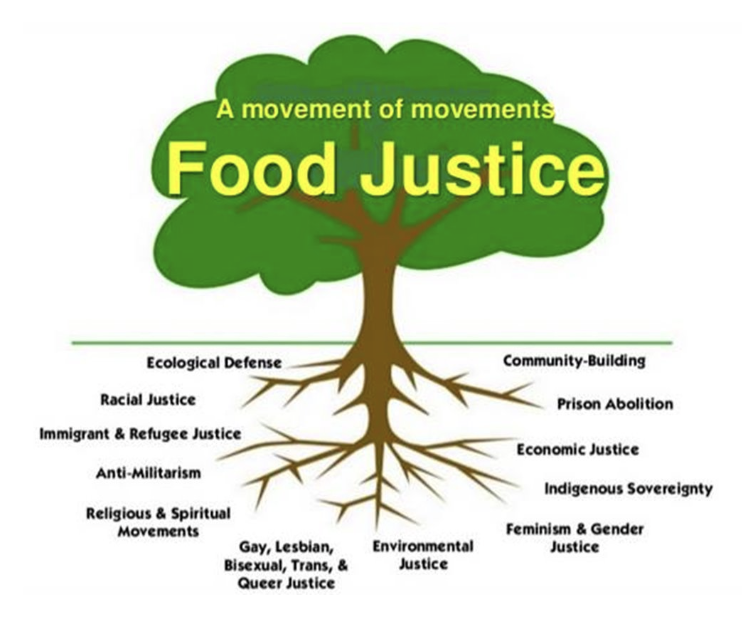Drawing of tree labeled Food Justice with roots below the ground labeled with interconnecting movements