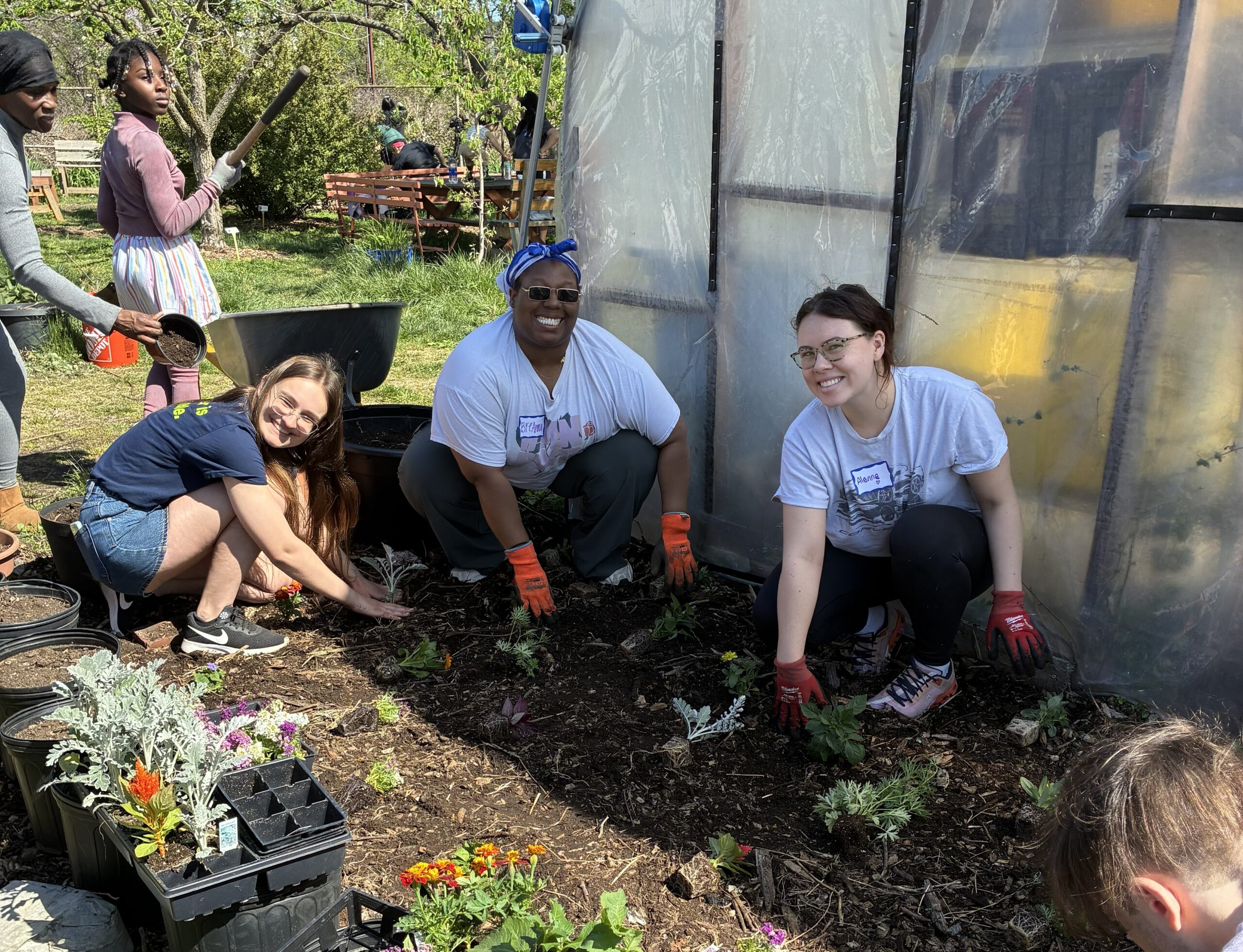 Harvesting Hope and Fresh Produce at Nice Roots Farm