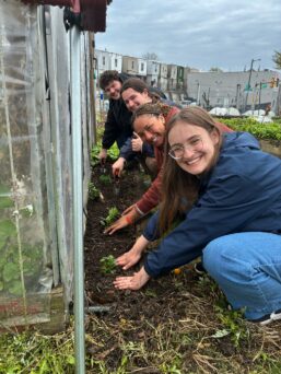 5 ideas for growing food and strengthening local food systems